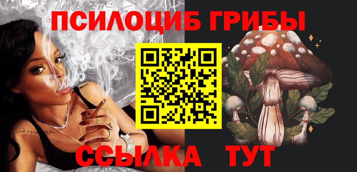 Галлюциногенные грибы прущие грибы Славянск-на-Кубани